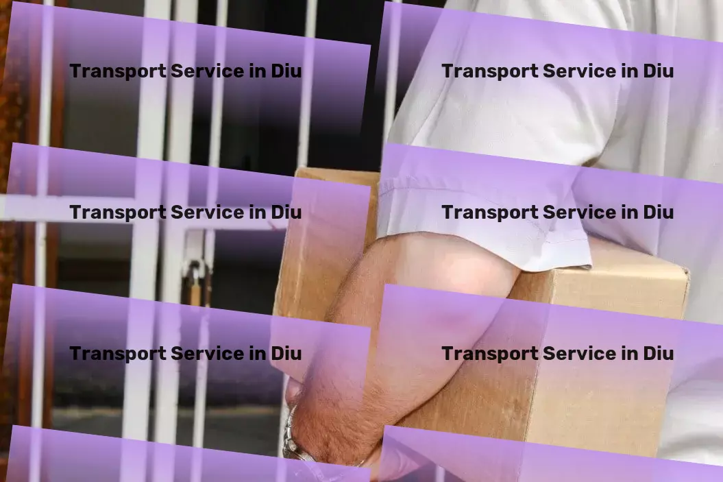 Cargo in Diu, Dadra and Nagar Haveli and Daman and Diu (DH) Professional transport solutions